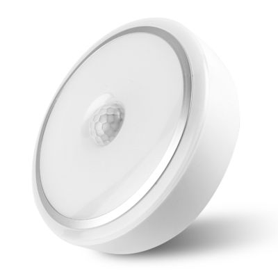 Indoor Home Ceiling Mounted LED Lights Fixtures Illuminating